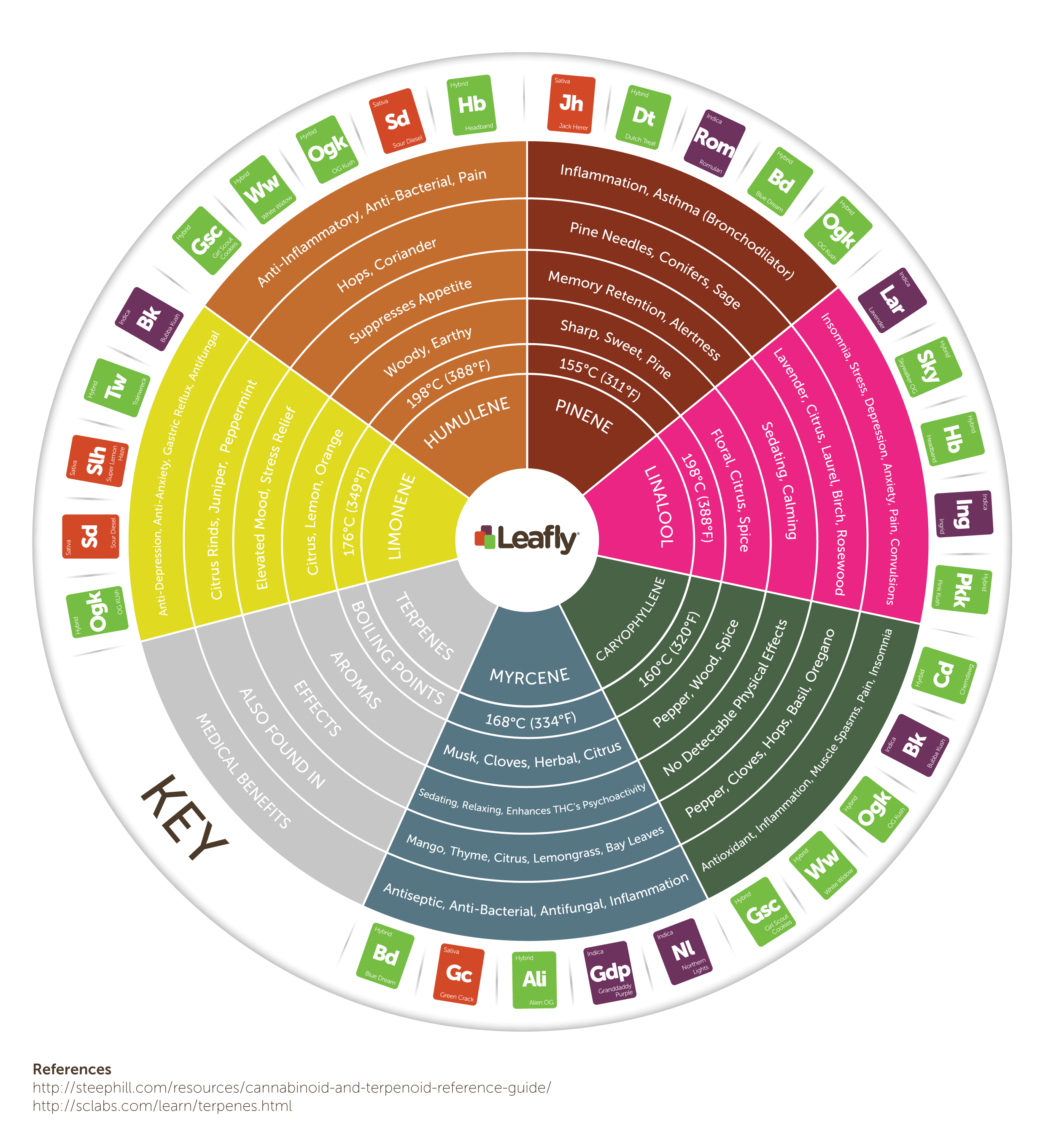 cannabis terpene wheel infographic
